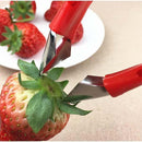 Fruit Pits Remover