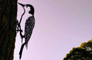 Red Bellied Woodpecker - Metalbird USA