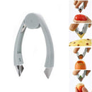 Fruit Pits Remover