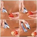 Fruit Pits Remover