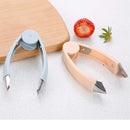 Fruit Pits Remover