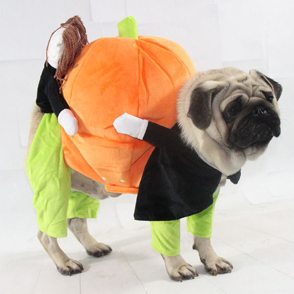 Pet Halloween costumes