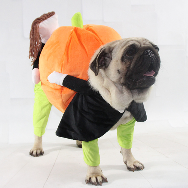 Pet Halloween costumes