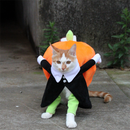 Pet Halloween costumes