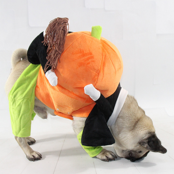 Pet Halloween costumes